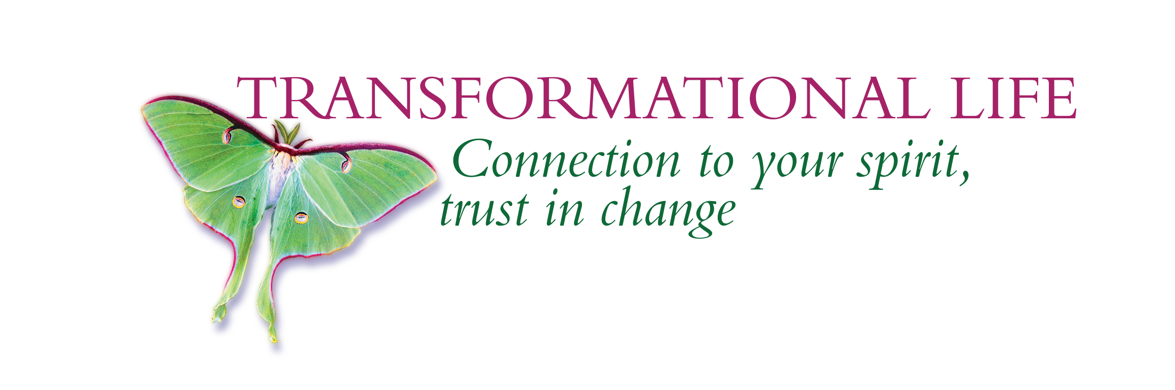 Transformational Life